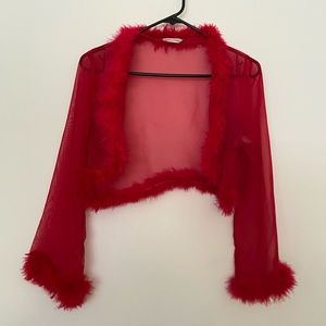 Vintage Feather and Mesh Blouse